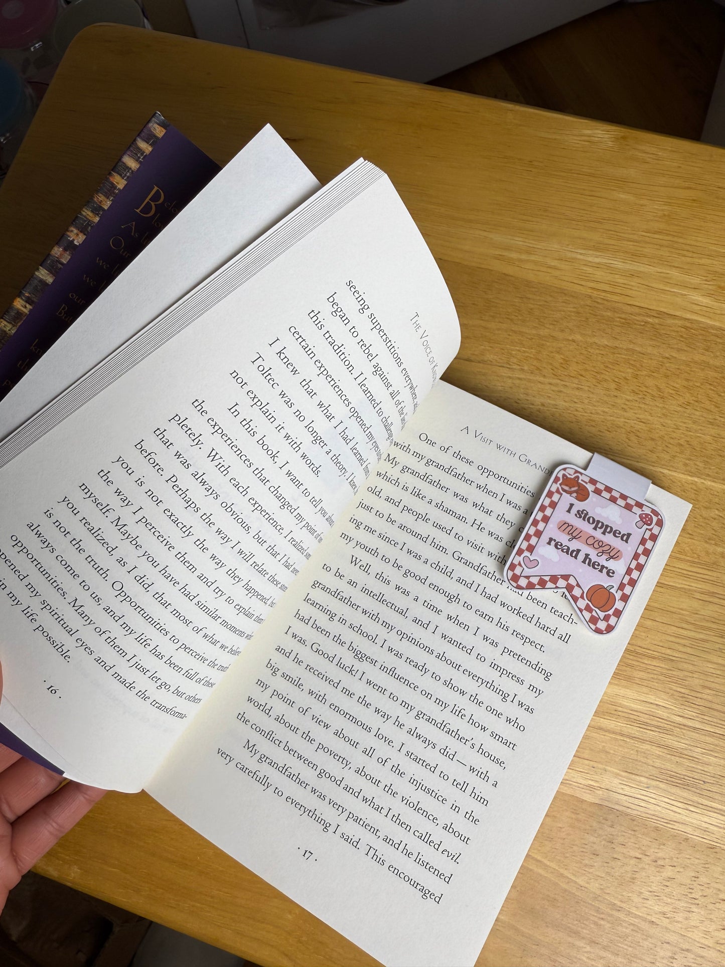 Cozy Reads Magnetic Bookmarks ππ